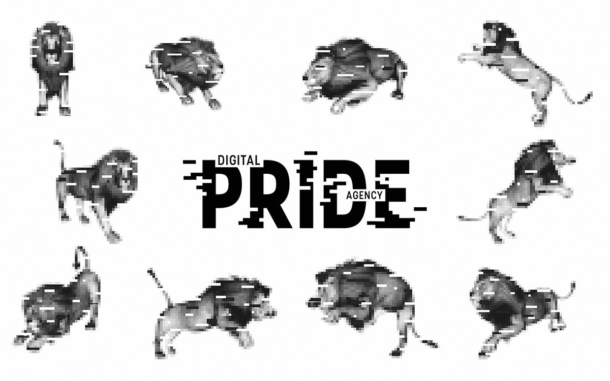 互聯(lián)網(wǎng)營(yíng)銷企業(yè)Pride品牌形象設(shè)計(jì)
