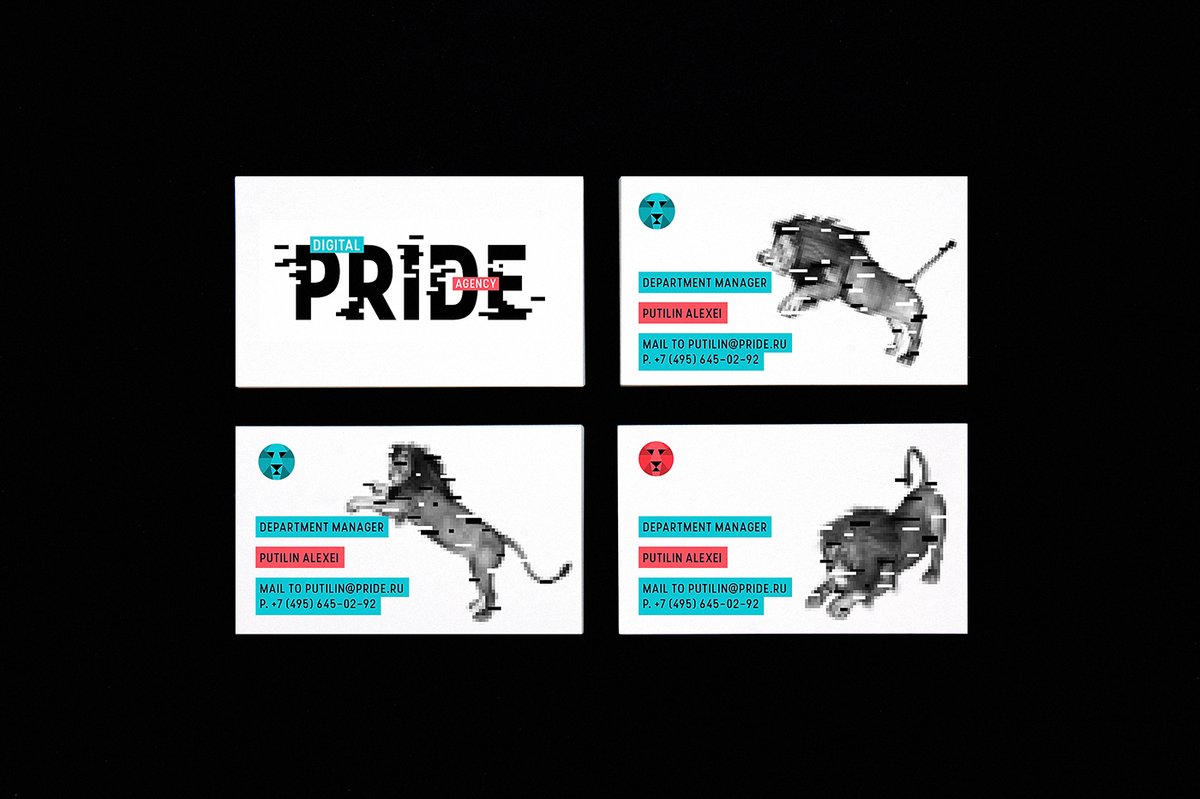 互聯(lián)網(wǎng)營(yíng)銷企業(yè)Pride品牌形象設(shè)計(jì)