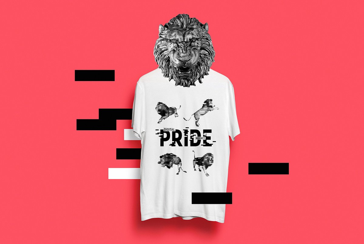 互聯(lián)網(wǎng)營(yíng)銷企業(yè)Pride品牌形象設(shè)計(jì)