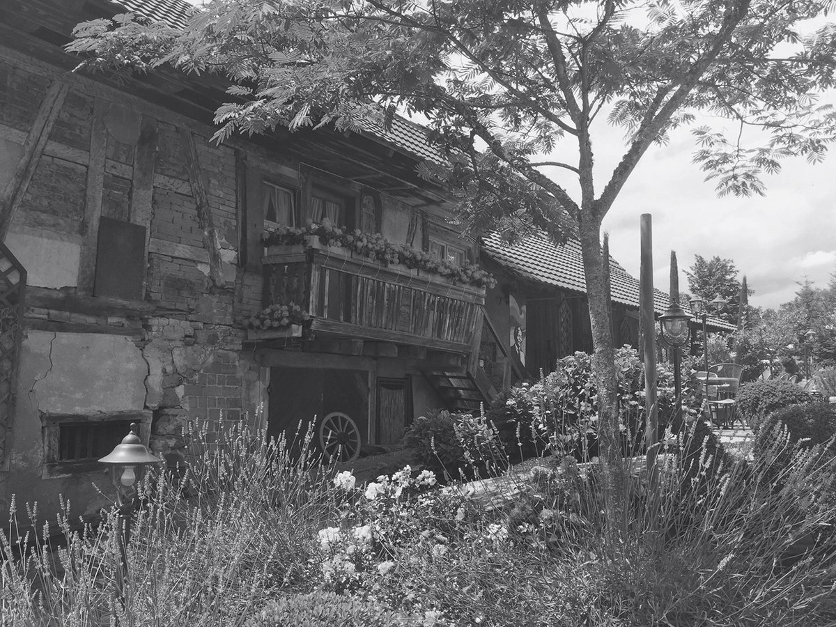 德國餐廳（餐飲）品牌標(biāo)志設(shè)計(jì)和品牌設(shè)計(jì)——logo與馬牧場背景相關(guān)，品牌設(shè)計(jì)，餐飲品牌設(shè)計(jì)，餐飲logo設(shè)計(jì)，餐廳品牌設(shè)計(jì)，品牌標(biāo)志設(shè)計(jì)，深圳品牌設(shè)計(jì)