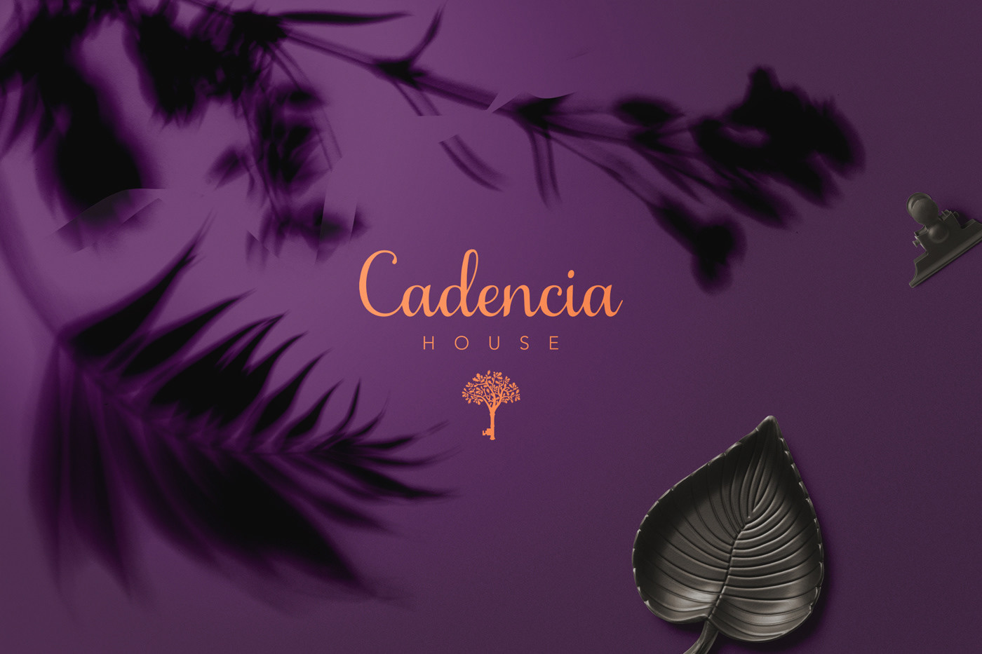 Cadencia時尚服裝品牌設(shè)計案例和品牌營銷，服裝品牌形象設(shè)計，品牌營銷，深圳品牌設(shè)計，左右格局
