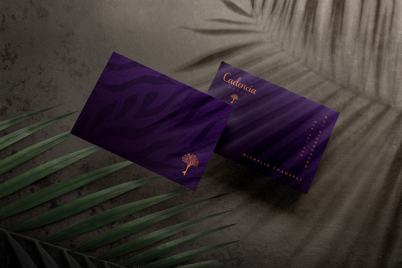 Cadencia時尚服裝品牌設(shè)計案例和品牌營銷，服裝品牌形象設(shè)計，品牌營銷，深圳品牌設(shè)計，左右格局