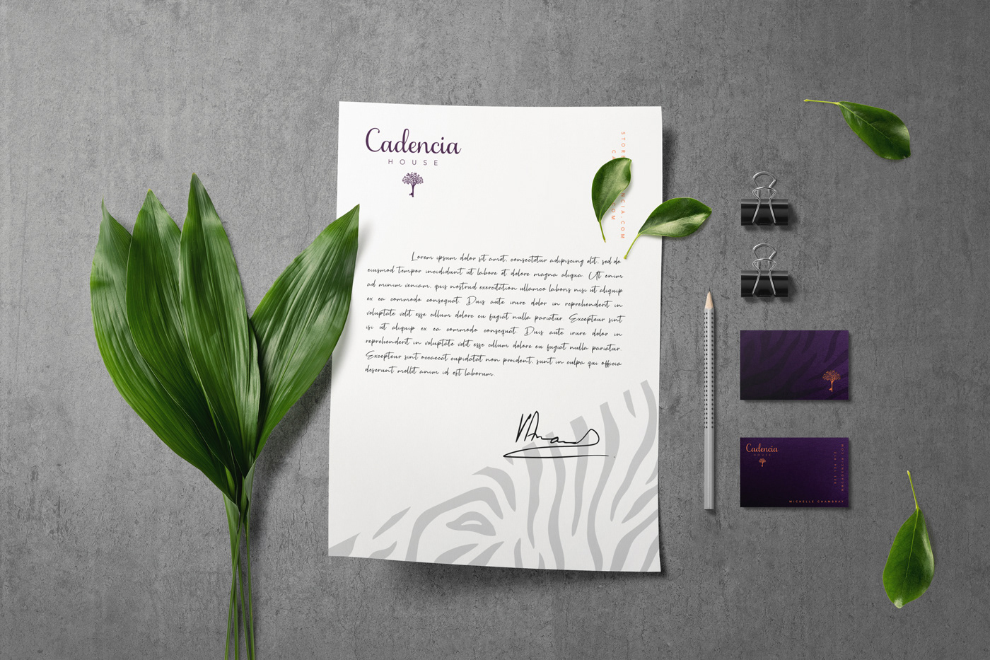 Cadencia時尚服裝品牌設(shè)計案例和品牌營銷，服裝品牌形象設(shè)計，品牌營銷，深圳品牌設(shè)計，左右格局