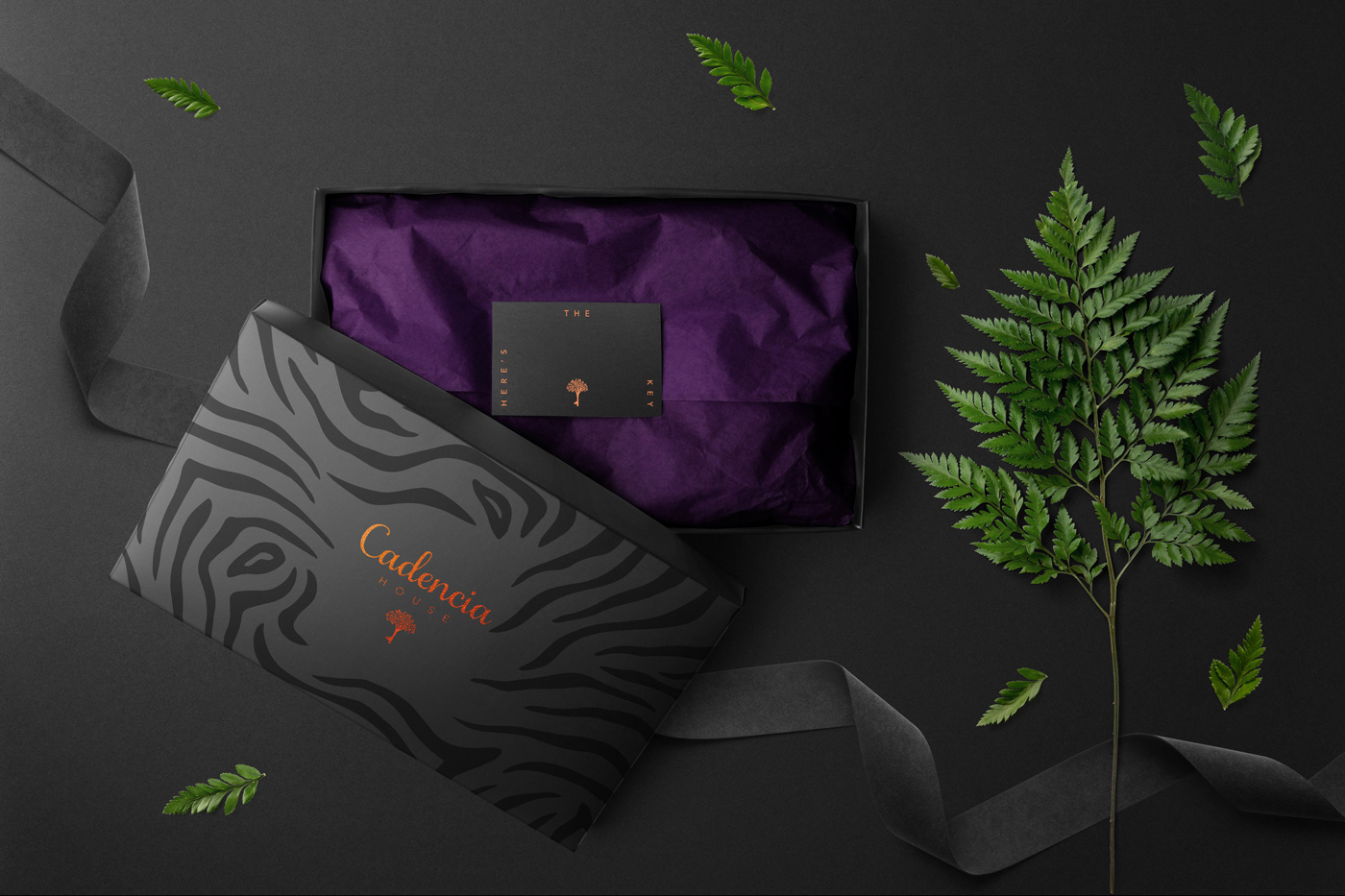 Cadencia時尚服裝品牌設(shè)計案例和品牌營銷，服裝品牌形象設(shè)計，品牌營銷，深圳品牌設(shè)計，左右格局
