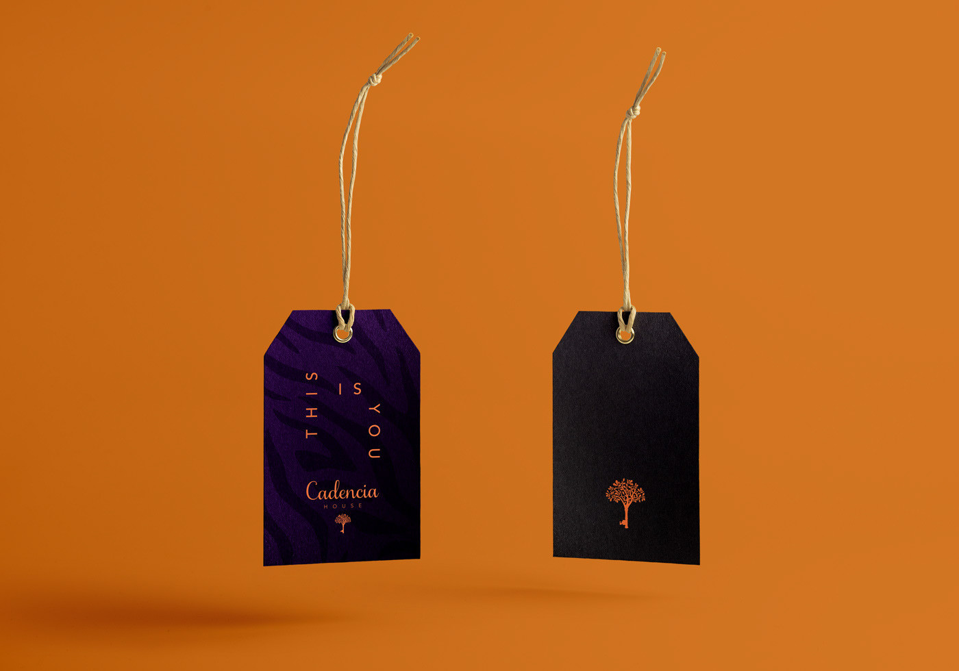 Cadencia時尚服裝品牌設(shè)計案例和品牌營銷，服裝品牌形象設(shè)計，品牌營銷，深圳品牌設(shè)計，左右格局