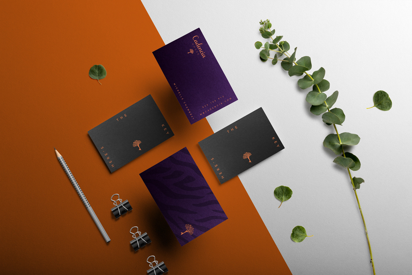 Cadencia時尚服裝品牌設(shè)計案例和品牌營銷，服裝品牌形象設(shè)計，品牌營銷，深圳品牌設(shè)計，左右格局