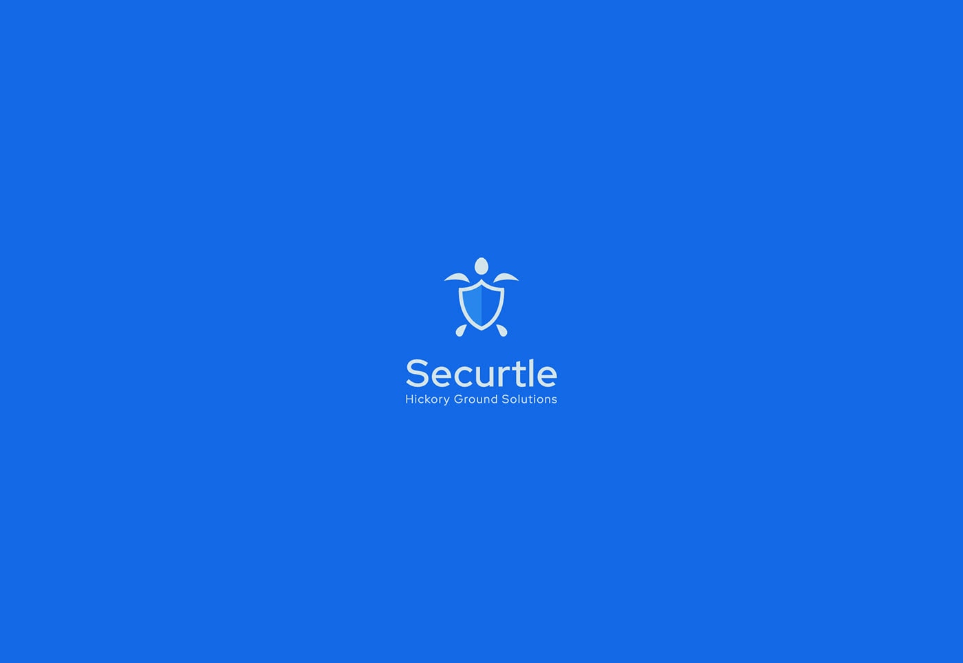 Securtle 網(wǎng)絡(luò)金融咨詢企業(yè)品牌視覺(jué)設(shè)計(jì)，金融品牌設(shè)計(jì)，品牌形象設(shè)計(jì)，品牌設(shè)計(jì)公司，左右格局