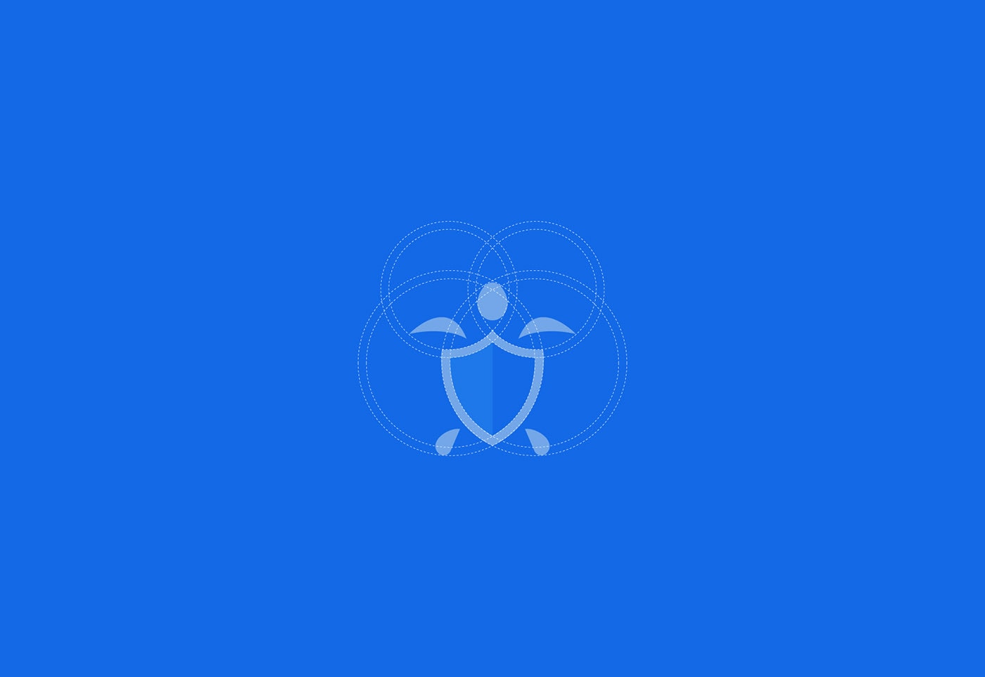 Securtle 網(wǎng)絡(luò)金融咨詢企業(yè)品牌視覺(jué)設(shè)計(jì)，金融品牌設(shè)計(jì)，品牌形象設(shè)計(jì)，品牌設(shè)計(jì)公司，左右格局