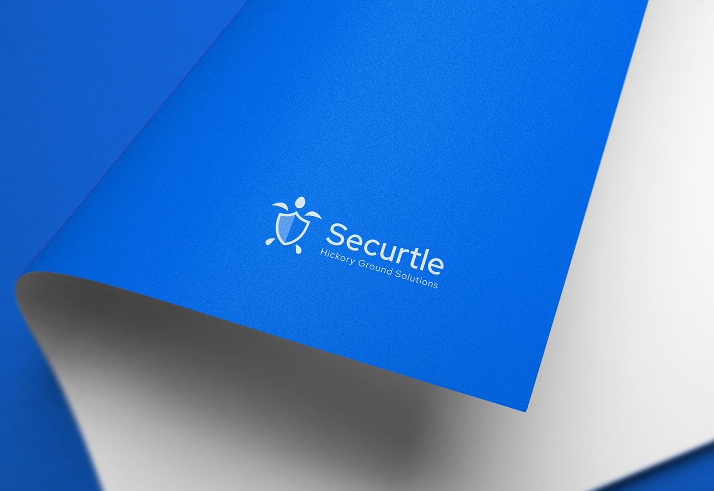 Securtle 網(wǎng)絡(luò)金融咨詢企業(yè)品牌視覺(jué)設(shè)計(jì)，金融品牌設(shè)計(jì)，品牌形象設(shè)計(jì)，品牌設(shè)計(jì)公司，左右格局