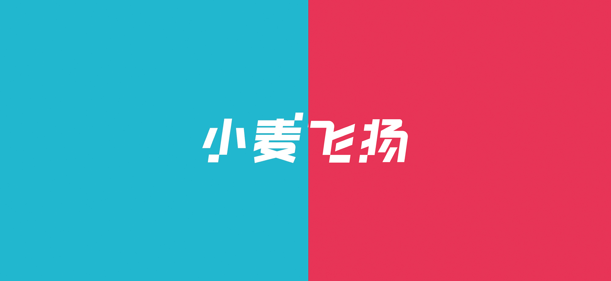 科技品牌小麥飛揚年輕化形象設(shè)計－左右格局